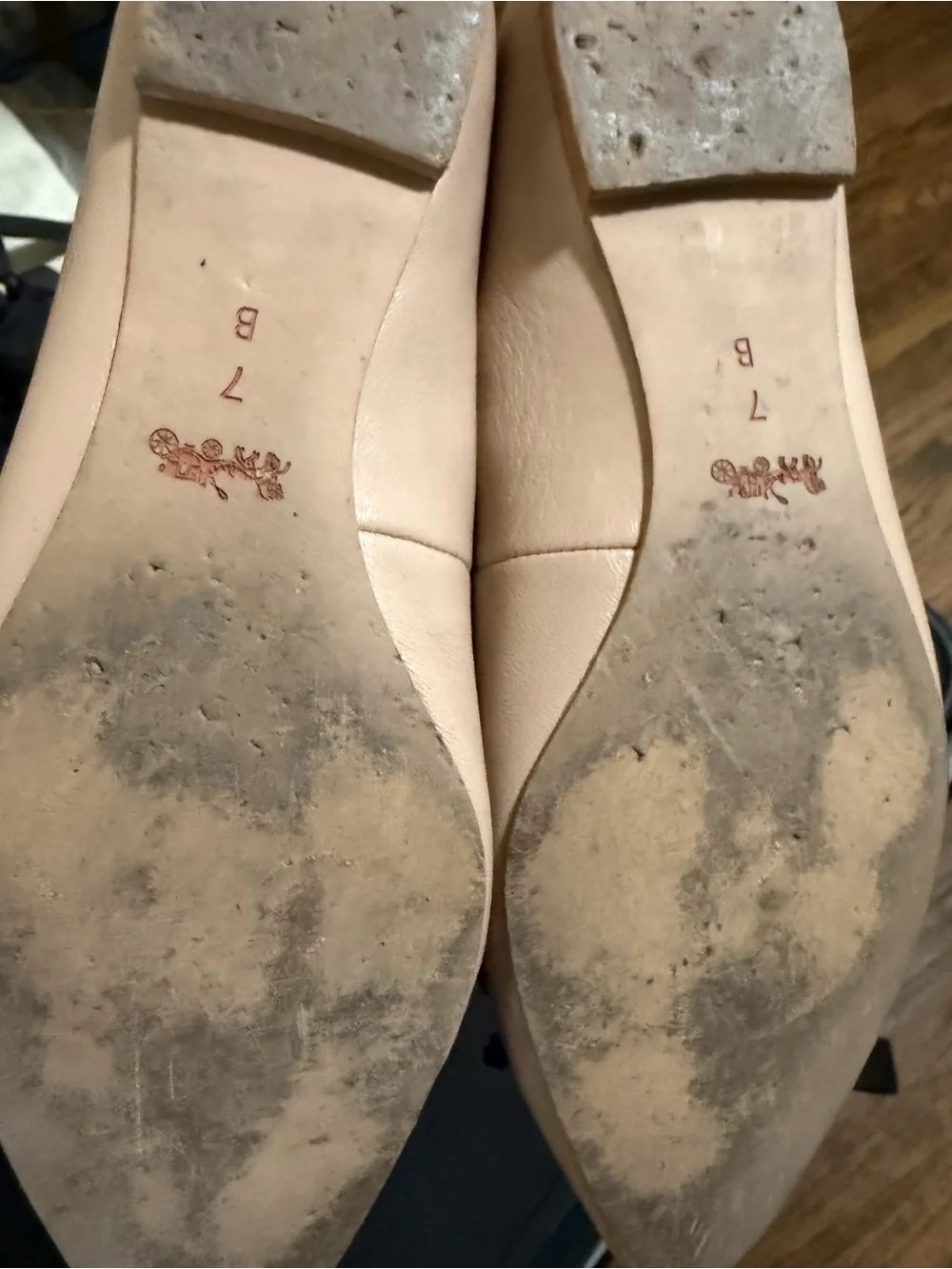 Coach women pointed